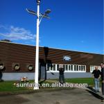 Wind/Solar Hybrid Street Light WINSO50-winso50