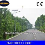 High quality 6M solar street lighting-BCT-006M