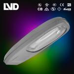 80W 120W induction lamp 06-008 prices of solar street lights-LVD-ZD04000