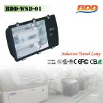 120W Energy Saving Induction Lamp Tunnel Light-BDD-WSD-01