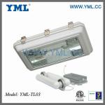 UL, ETL,CE,ROHS high pwer induction tunnel bulb light tunnel tunnel lights-TL03