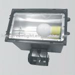 Induction Lamp For Tunnel Light SD-100 IP65 MOQ: 50 sets-SD-100