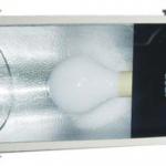 Induction Lamp For Tunnel Light SD-165 IP65 MOQ: 50-SD-165