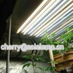 ho t5 648w Grow light fixture 54w 4ft 12 bulbs/ T5 HO fluorescent fixture 24w/54w 2ft/4ft 4bulbs/8bulbs-YZ/FLP ho t5 648w