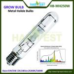 harvest grow light lamp/Indoor garden hydroponics/ grow light bulb-HB-MH250W