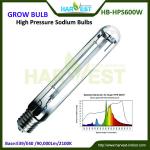 HPS light for greenhouse and indoor garden/ grow light bulb/lamps-HB-LU600W