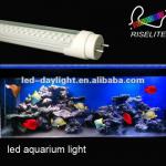 T8 Led tube 1200mm 4ft 20W 1900lm aquarium light-RL-T8-AL-20w