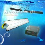DSUNY Auto Programmable 60w/120w/200w fish tank light led aquarium light-