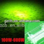 Deep sea lake Boat Batteries DC AC outlet Power 10W 50W 100W 200W LED underwater light fishing-CH UWFLED100W