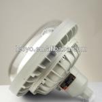 dW81 round type explosion-proof induction lamp (II C)-dW81-D85w