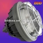 energy saving induction explosion-proof light-BDD-WFB-03