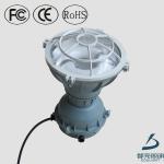 Scientific design long life span 2700k-6500k Ip65 induction explosion proof light fixture-DL-FB05E