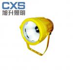 minng explosion-proof floodlight-DGS70/127B(A)