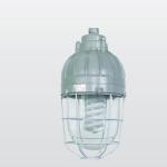 explosion-proof halogen lamp BAD810-BAD810 lamp