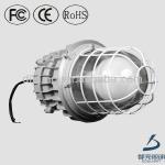 Bulb shape IP65 explosion-proof high power 165w gas station light-DL-FB04E