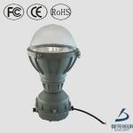 Engineering resin lampshade low frequency 40w 60w 90w ip65 induction Explosion proof Light-DL-FB01E