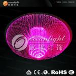 New Arrival Fiber Optic Lighting OM165-OM954