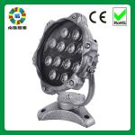 12v rgb led underwater fishing light-NS-UWL-006 12W