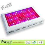 11 band led grow light for lettuce/tomato/topato/horticultural/greenhouse/indoor growing WY-G24
