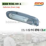 120W,150W High Quality Induction Lamp Street Light BDD-WDL-09-A