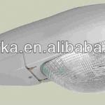 250W 400W Street light E40 IP65 JYR-002