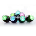 256 Colors Living Color Light BT34001