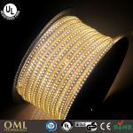 3014/120P High voltage LED strip / UL