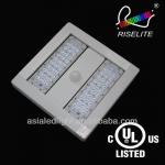 304 Series Retrofit for 600*600 Shoe Box led gas canopy lights