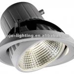 38W COB LED Down Light Bridgelux Chip