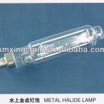 4000W OVERRWATER METAL HALOGEN FISH LURING LAMP YFY-FM010