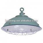 5-Bulb Cargo Light