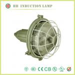 50 to 200W induction lamp for explosion lamp HB-FB002