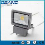 80w led floodlight,landscape lighting OB-Outdoor880196 OB-Outdoor880196