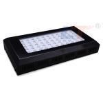 best 600w 400w 300w 120w full spectrum led grow light 55*3W