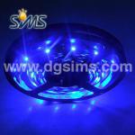 Blue led underwater fishing lights