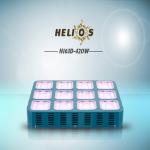 Cheap Price 2013 The Best LED Grow Lighting for Germany H163D