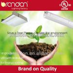 Cotton and wood shaving vapours tight fixture