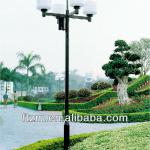 Decorative courtyard light/Garden light/landscape lamp FTTY-0058