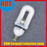 E40 80W Compact Self-ballast Induction Lamp Easy To replace HID lamp 120V/220V/277V SK-LF-80S
