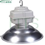 electrodeless induction 5m induction hay bay lighting fixture120W-250W CFD012