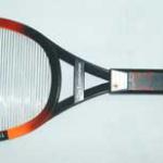 Electronic Swatter