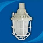 Explosion proof light BCD100