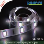 FL24V-60-5M-5050RGB-IP68, swimming pool led strip rgb / P21