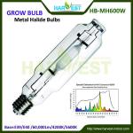 Greenhouse mh grow light