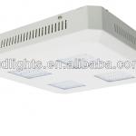 high power cree led canopy lamp for gas staton GD10208010