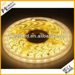 HOT outdoor SMD 5630 led strip Light GMSD-5050-12V/24V