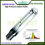 Indoor garden 250w hps grow light