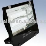 Induction Lamp for Flood Light (EDL-TG001) EDL-TG001