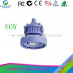IP67 80W High power explosion proof enclosure