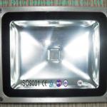 LED Flood Light
